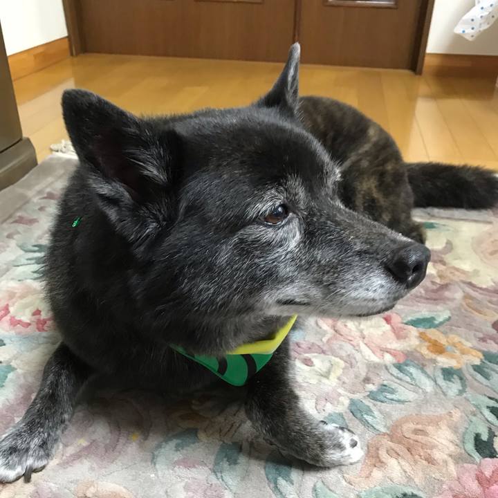 E58b02cf ccc0 4028 a1ee 54b35d703eae 1567209116020