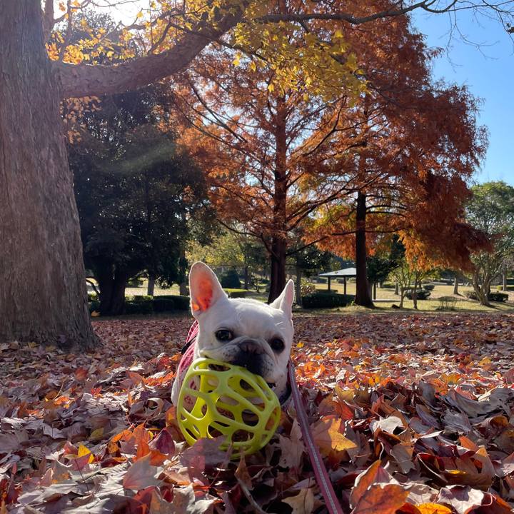 E58b0853 98b3 4400 ac18 72cb6a78ff0d 1764472985436