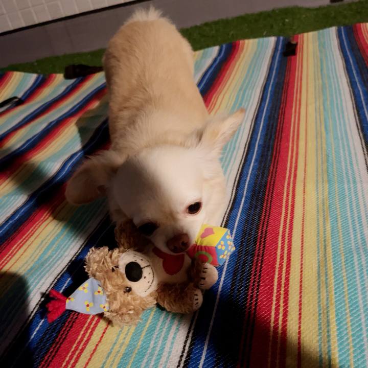 E58b391d dc86 408a 8dc4 dd4e53910543 1690986056397