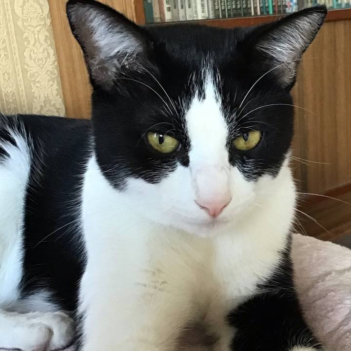 E58b6d24 0bda 472b 8f7b 5d083c64dfa2 1659047702599