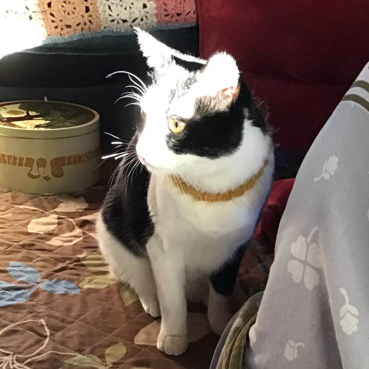 E58b6ef0 09ee 4b2f 930d 76ff3c9fdf4c 1645774673654