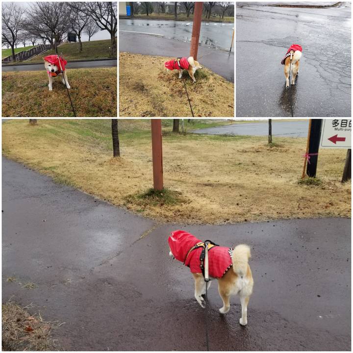 E58b70fb b525 4cd0 8577 54d8739bc94a 1679799538388