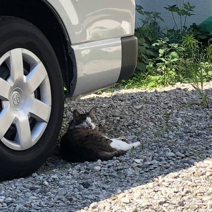 E58b7f4f 8ec9 4755 bbc0 132a5f168bc7 1623310132945