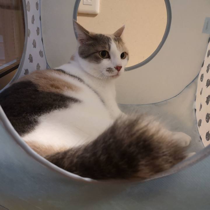 E58b9d39 3d49 4d62 bd2f e3e4783f1761 1594821060331