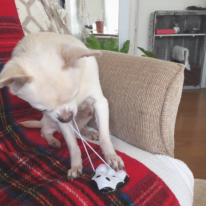 E58bba7d 4e64 4f62 a78d a595379421f0 1517630832334