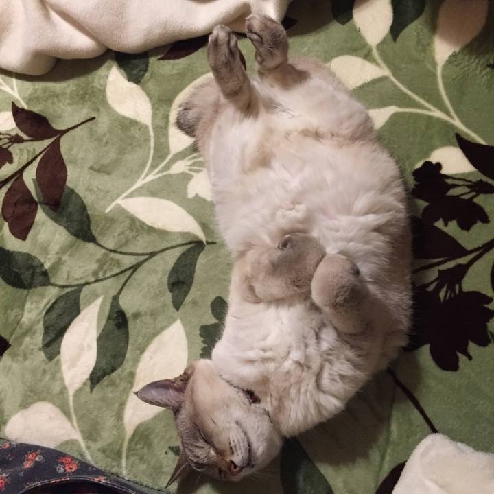 E58bc8ff f66a 4b45 ad14 d60220c6a9ee 1579097781610