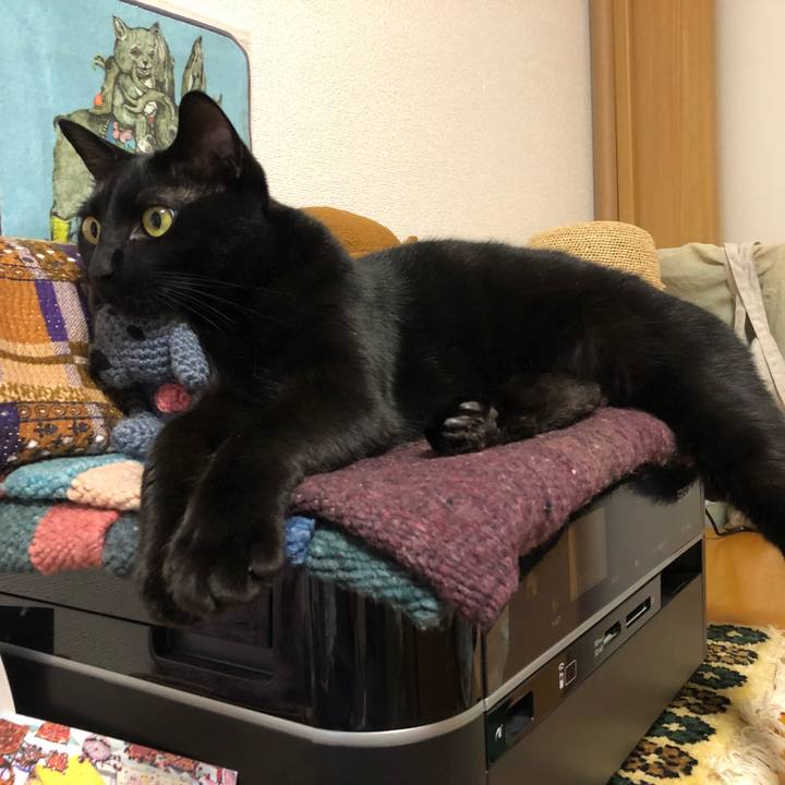 E58bf0f3 bbe2 434c 8567 b5ae898061da 1526654725638