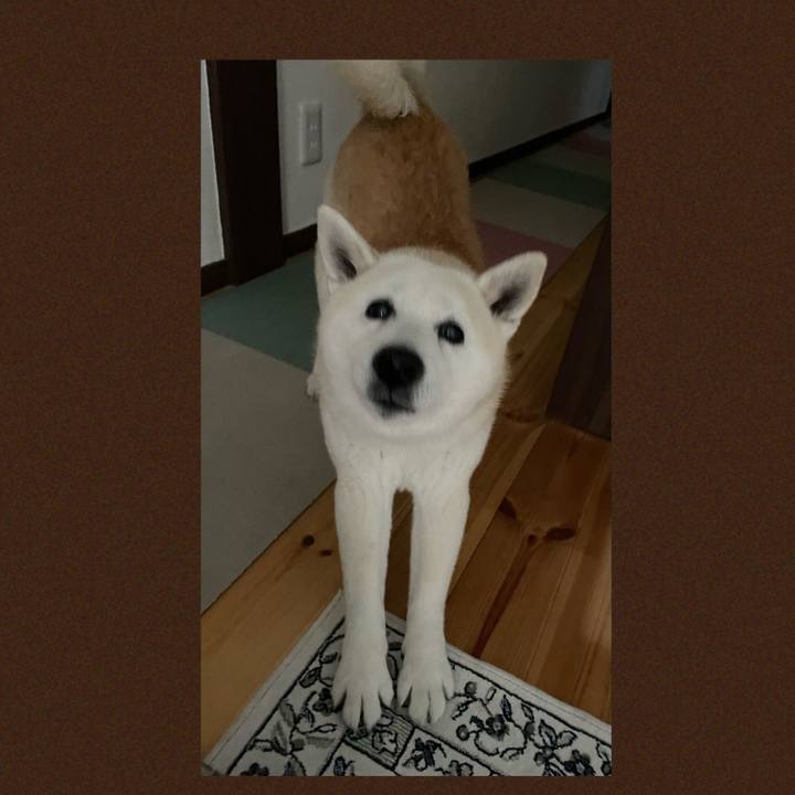 E58bf1a6 de65 4215 bbea 15566f6541c6 1679744339562