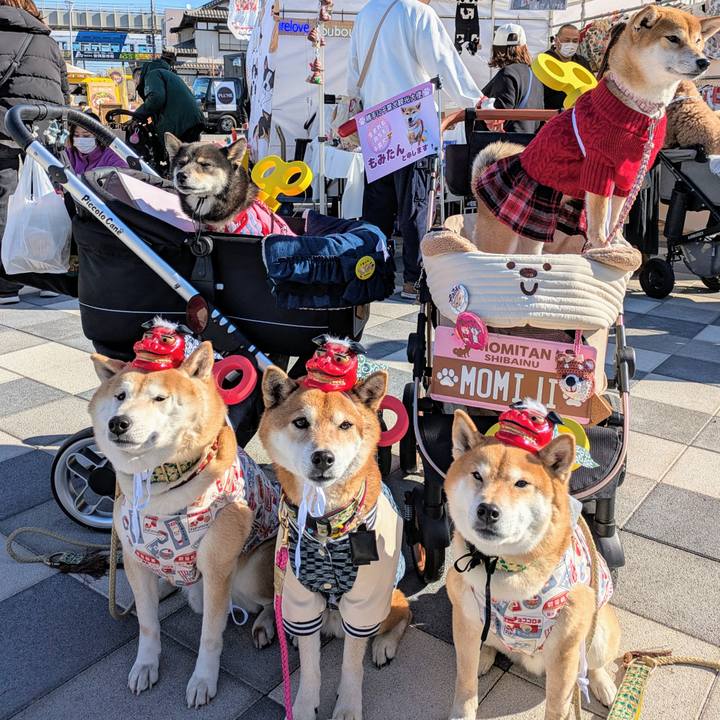 E58c26ef b3bd 4c2c b890 1c8859e7c51c 1735624832252