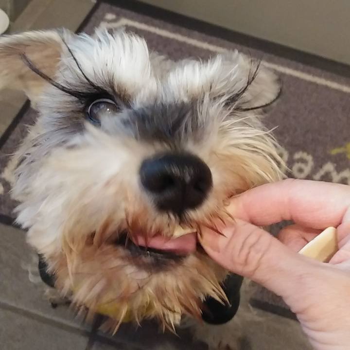 E58c4504 406c 43dc 99d0 350bbd6ec5fc 1610270717656