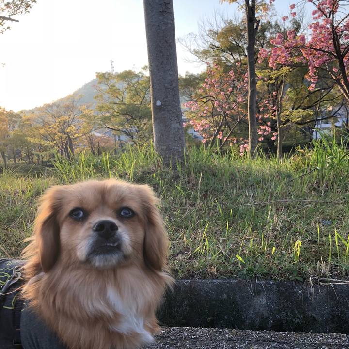 E58d2364 4ec7 4549 837c 4687379d509f 1523310712199