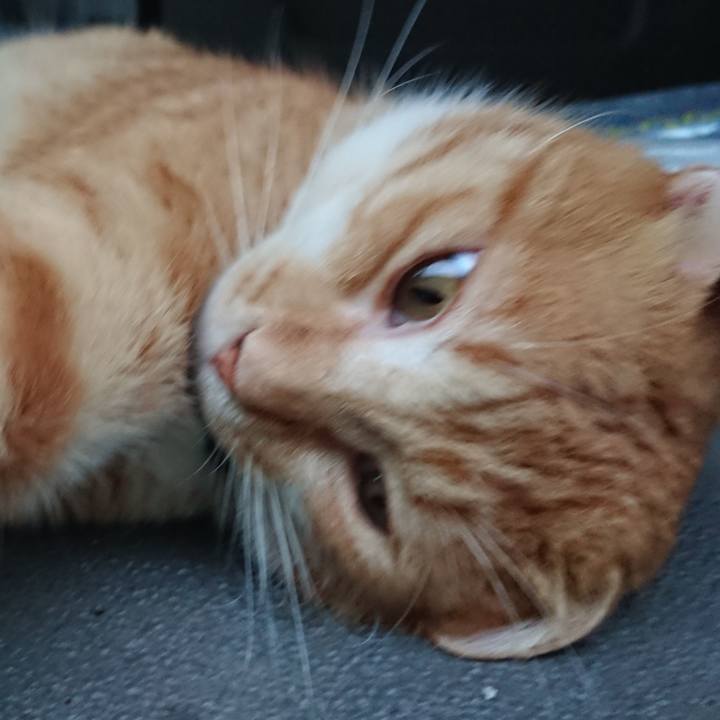 E58d34ee e5b9 412b 9c75 32cfed7fa149 1567069430786