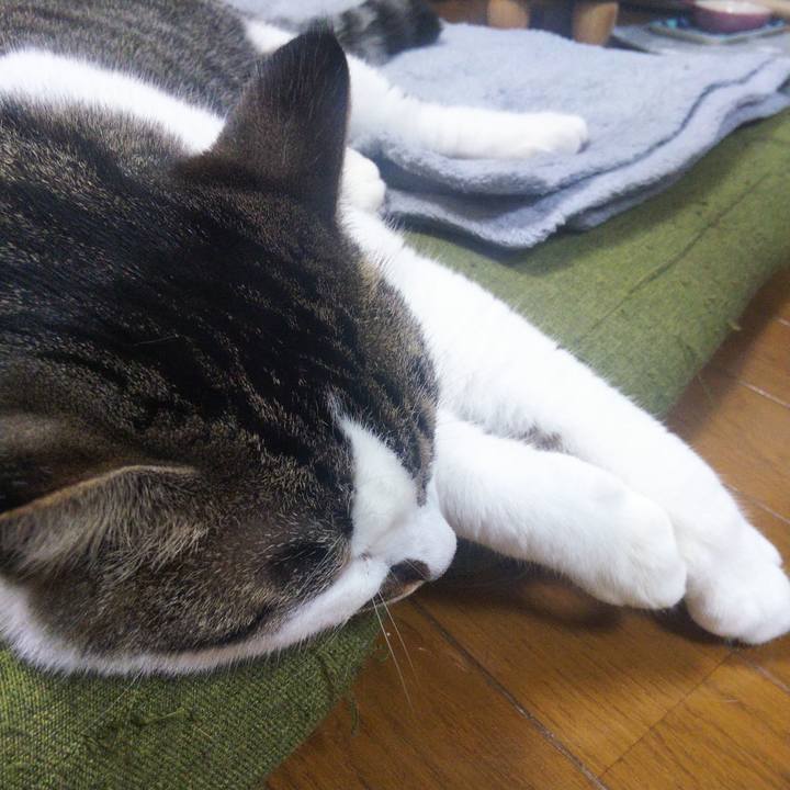 E58d5de7 e6da 424d b98f 6e4252ea832d 1656576143991