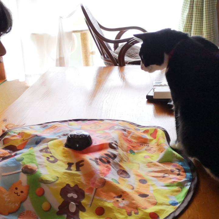 E58d99bc c486 49e9 812f eb928ea911eb 1563717190585