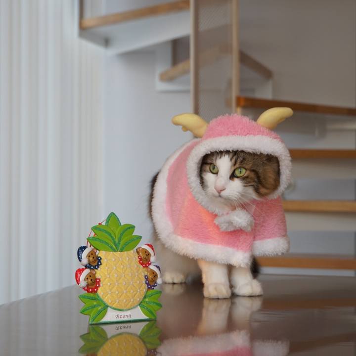 E58d9ac0 b7c9 4c2b 9b9c c5d0af369490 1545736409462