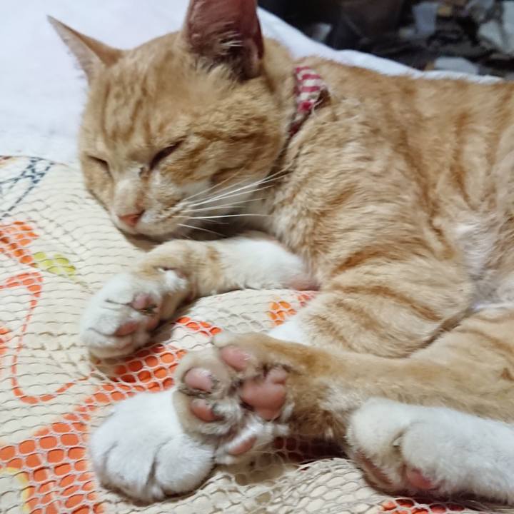 E58dec44 cc10 48f7 9f9e 323318ca62fc 1562328007070