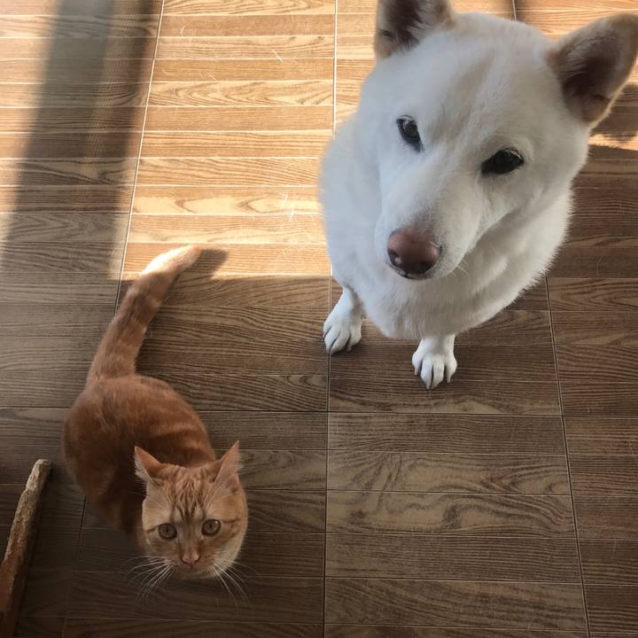 E58df09b a977 4d6f a380 c2af36518007 1514423139743