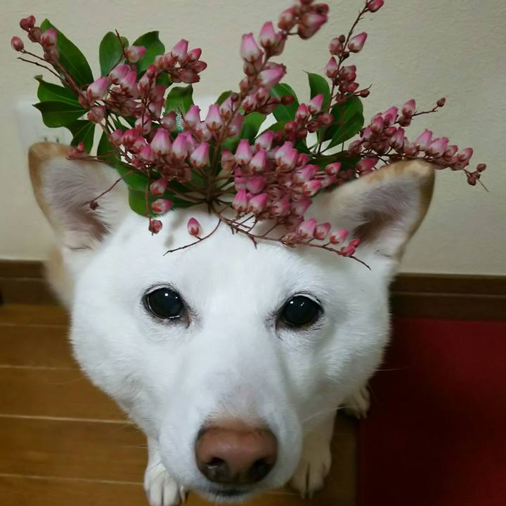 E58e0ea6 55b8 42f2 8091 10ebc315f23e 1582535385355