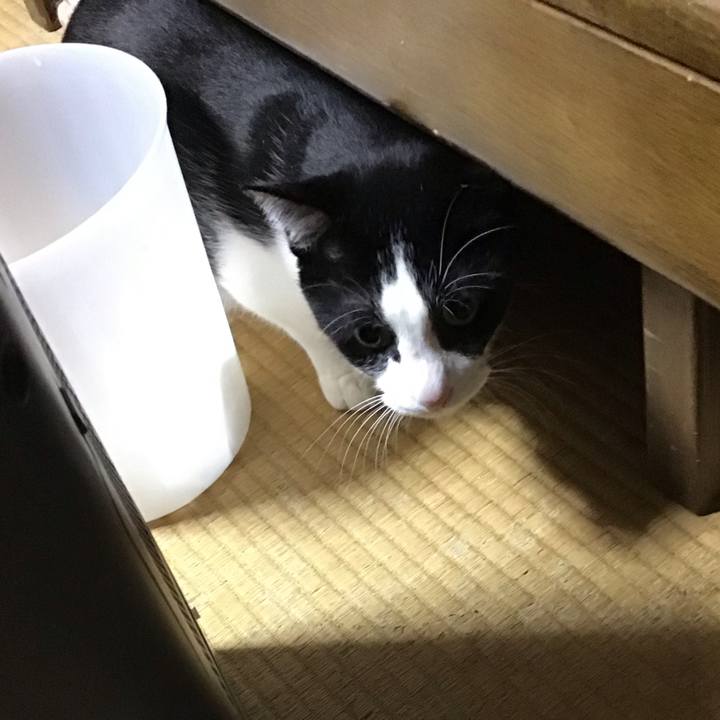 E58e39b7 1790 4029 aabb ea4a6b4f0169 1763120656305