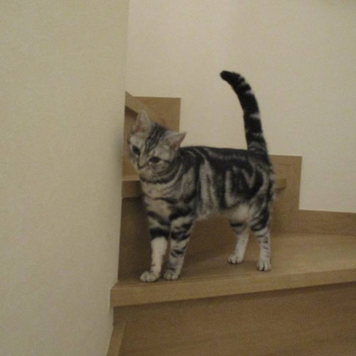 E58e3cc6 342e 41c1 8389 f26bd60c30f2 1552650729285