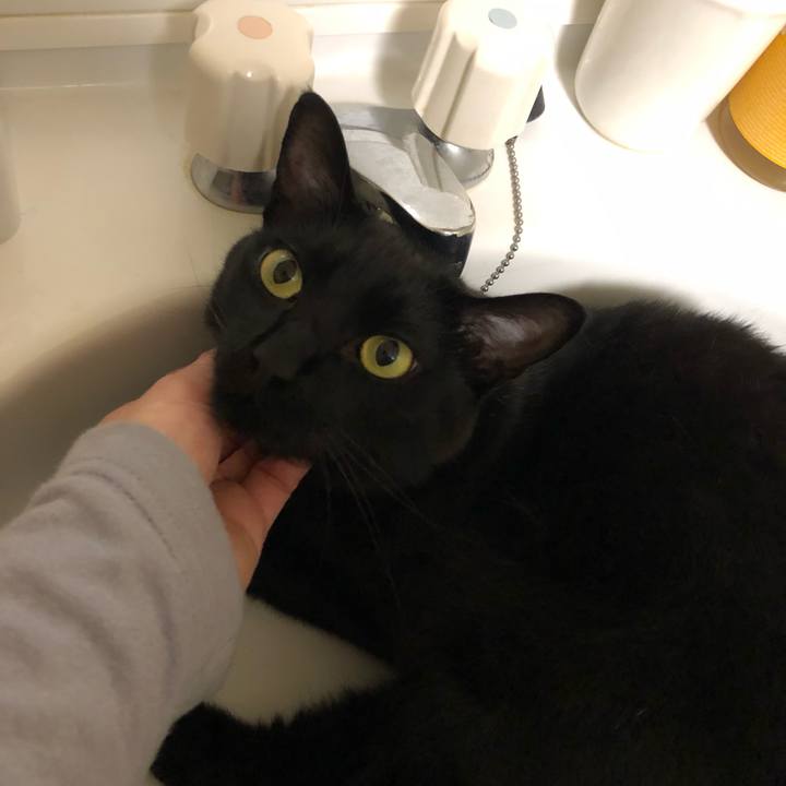 E58e4532 3263 4de8 83f6 b683be7e7c64 1560339623946