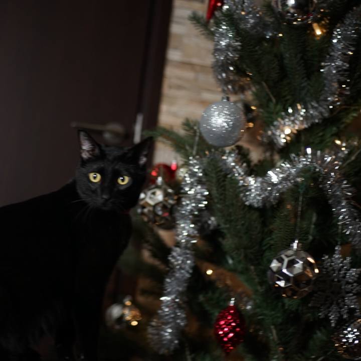 E58ebf82 0246 4a5c 9260 71a383e20917 1514081215400