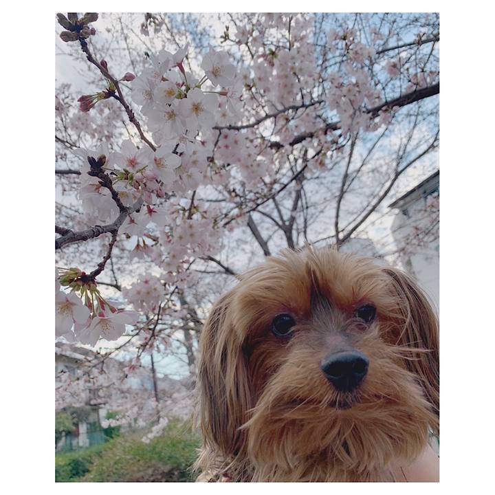 E58ec49f 6b21 4cb5 be0f 727f054234b9 1553411274939