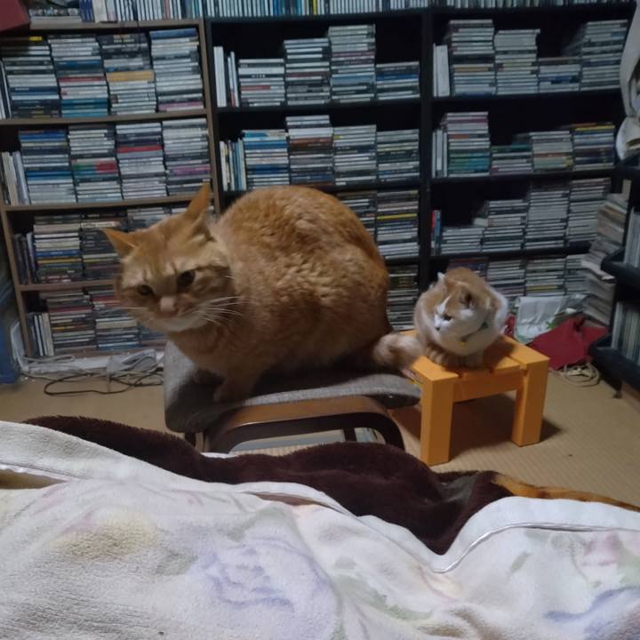 E58f3945 6a46 4496 a942 fb5add82ea62 1732918620376