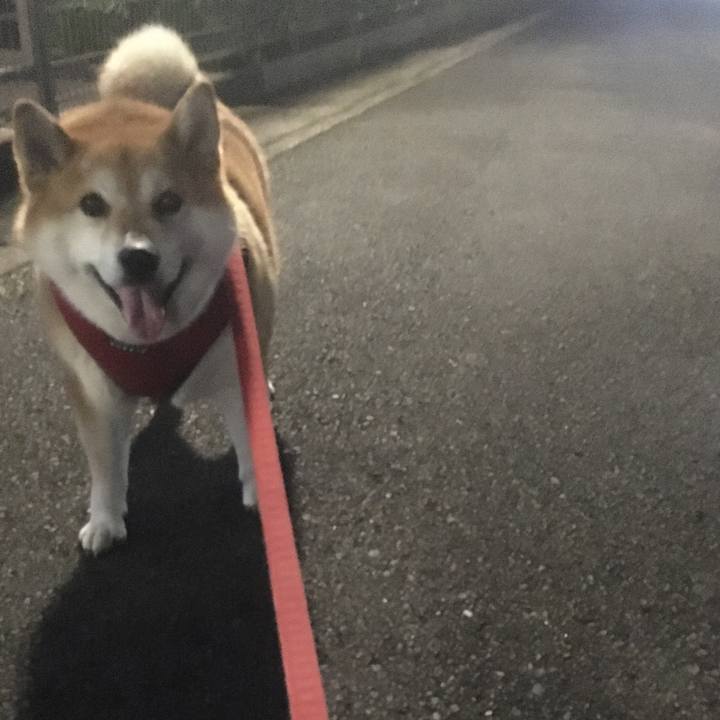 E58f3f0d 7180 4c70 a10d 968210adb9a3 1597316726329