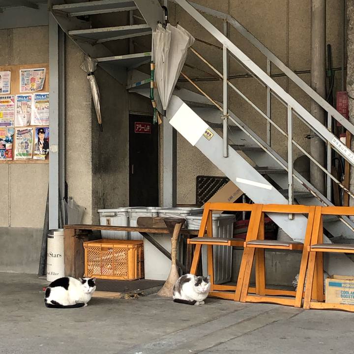 E58f59da ffd3 479c 8f72 350471d9e639 1617093417141