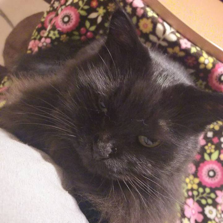 E58f69a6 f80f 4f8c 99f1 aaf17fc636be 1541321475661