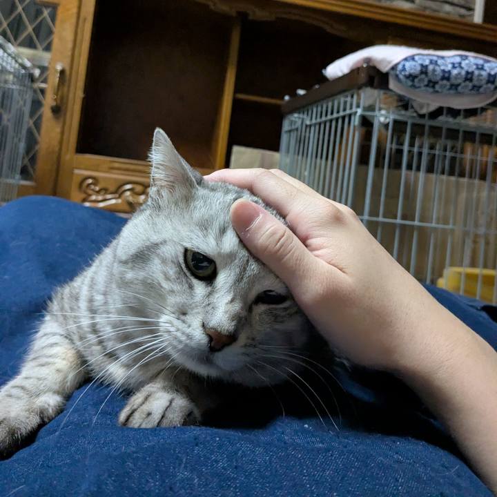 E58f7b37 4c5a 46ba 8a6b a7ea4a3f5bcf 1764862910755