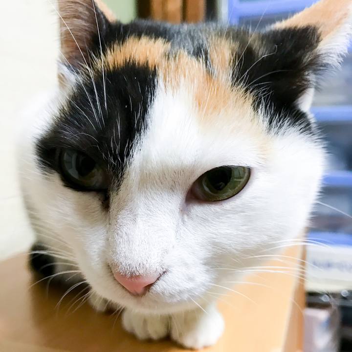 E58f85f6 8f87 4aea b904 93f88d7fceac 1513558087459