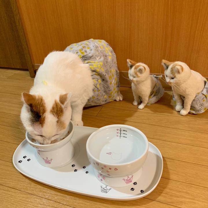 E58fab8d 0d01 4a12 bdb5 640c44b7209b 1550496017992