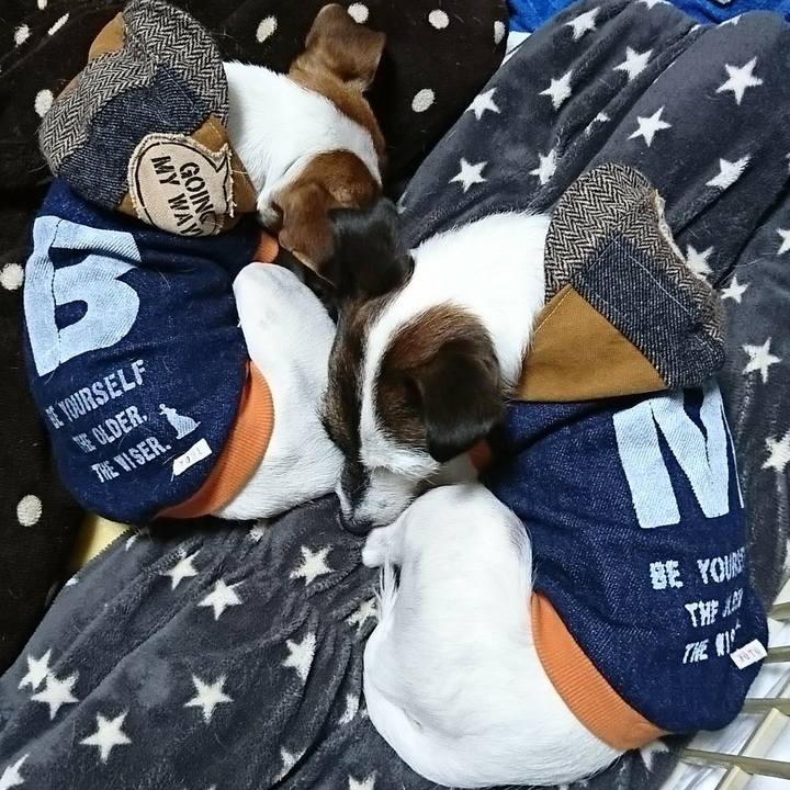 E58fe8ef bbc1 4b81 929a b00ddd85d5b4 1545913737258