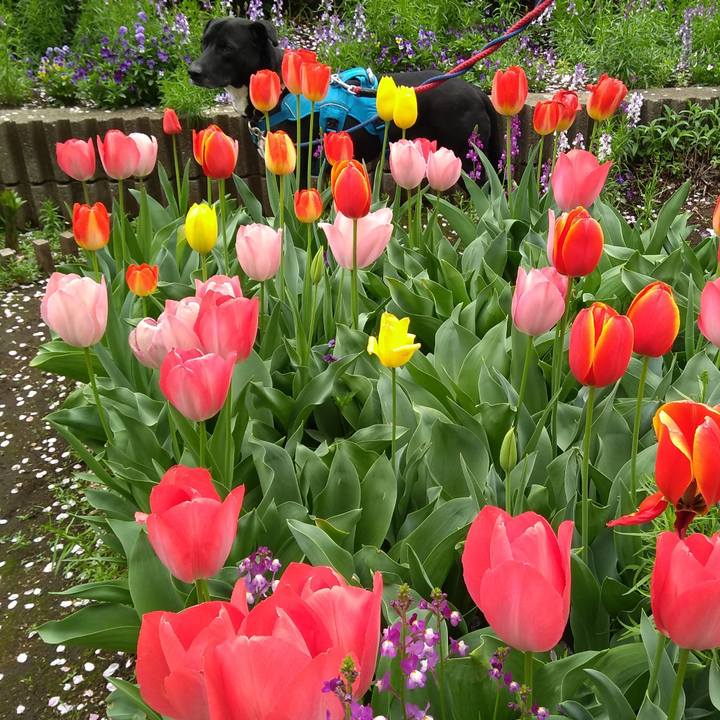 E58ff85e 4d9f 41b0 ad8c 233ba78a3de9 1617324449636