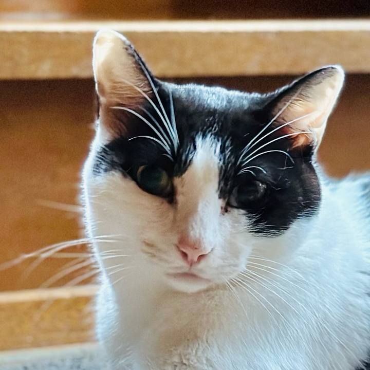 E5900275 0d48 4f16 b6f2 f044ae7dc01b 1694481059906