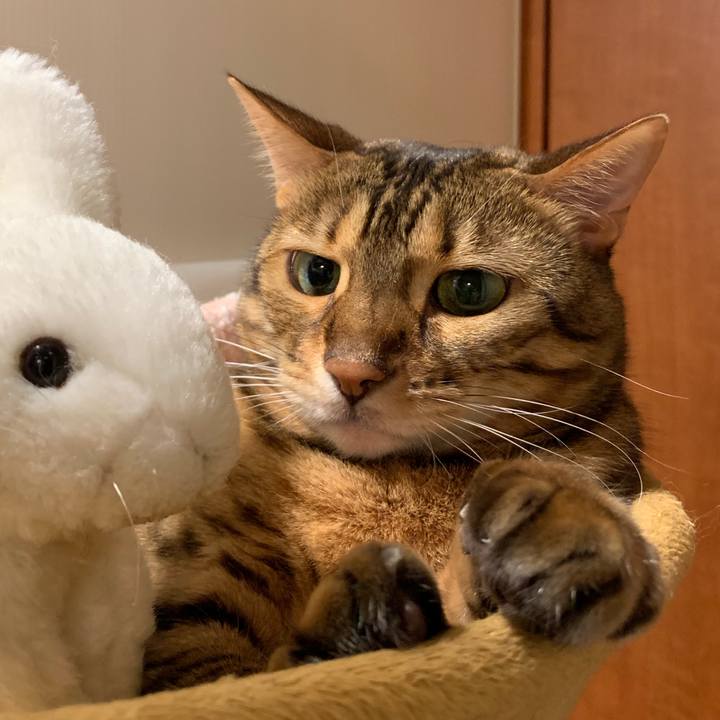 E5900361 4007 436e a3dd ce8fe7cab8c6 1562802757082