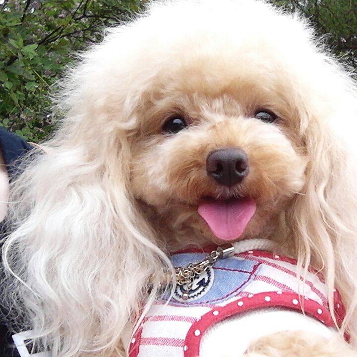 E590075c 227b 41f4 bbb7 94916c40c852 1538126447733