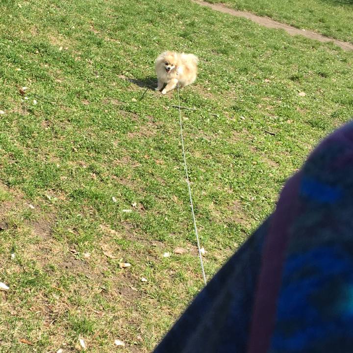 E59015b6 723f 4504 b0cb e3f8bae8666c 1524976522760