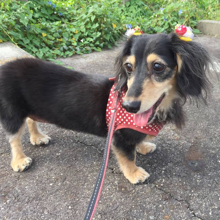 E59017f8 d97c 46c4 ba6a c4ef55f5ce3d 1569975727004