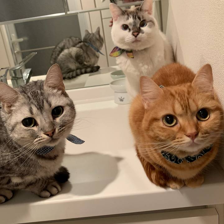 E590183c 727e 4072 bbe7 936e66e21b8a 1572604039161