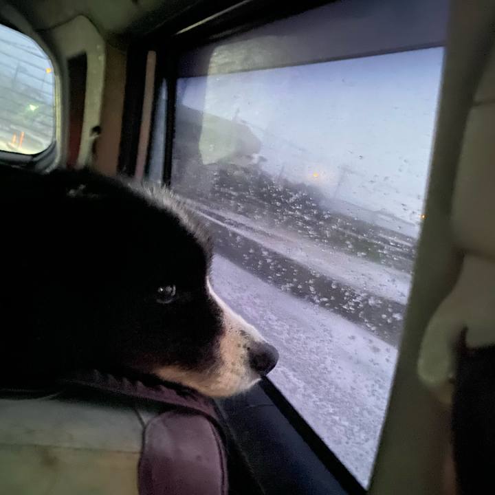 E5902d13 100d 4d96 aac6 2eb5af9645ad 1703196236598