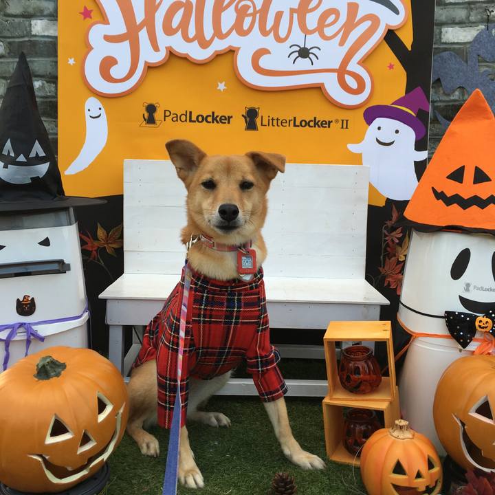 E59054b1 0921 4673 a04d 5459d7e5ecb6 1540716335045