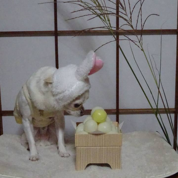 E5905b3a b7c9 4ad2 a872 f73b312e4d9d 1601480957876