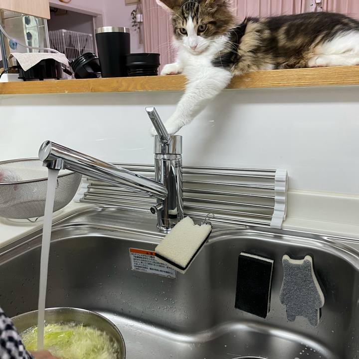 E5906c98 2a57 4ed0 8b5c 0bfaaa71314a 1636103783711