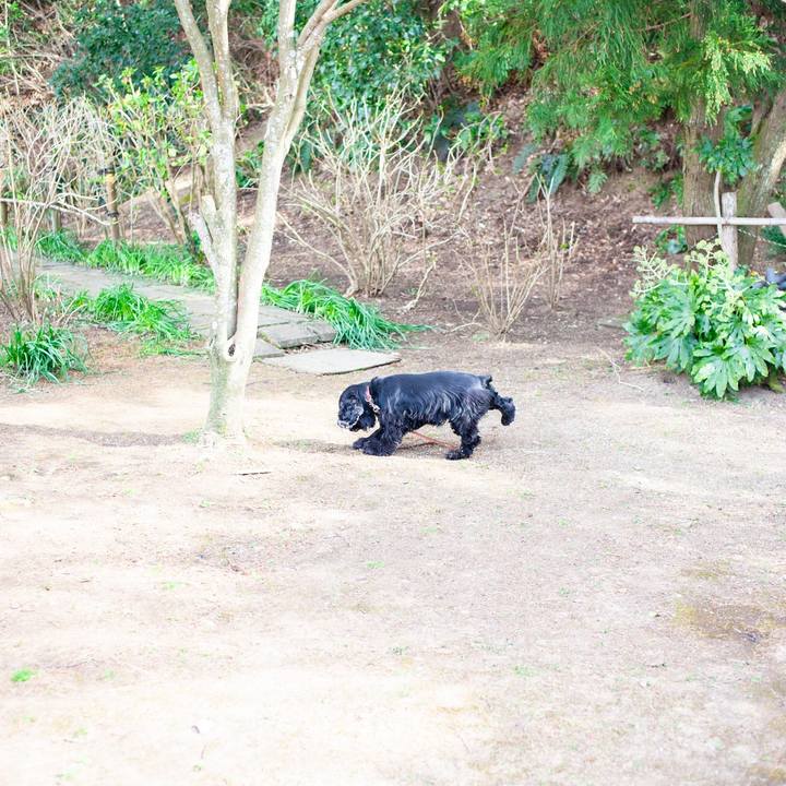 E590c51a 0a9d 49c1 8ab9 3c9a3eb34ef5 1583899601789