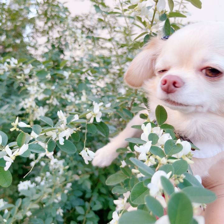 E590ce63 e87c 4266 bfd5 163c5c044e4e 1697193369320