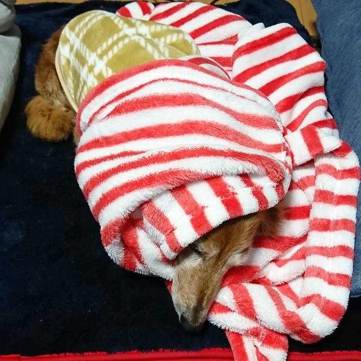 E590f4ed 92b6 4a26 a6d0 359518d5a563 1514551814537