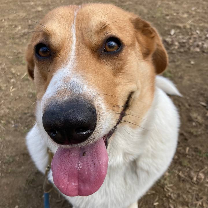 E590f8b7 2054 44a2 83e3 2e507fae225c 1644630603336